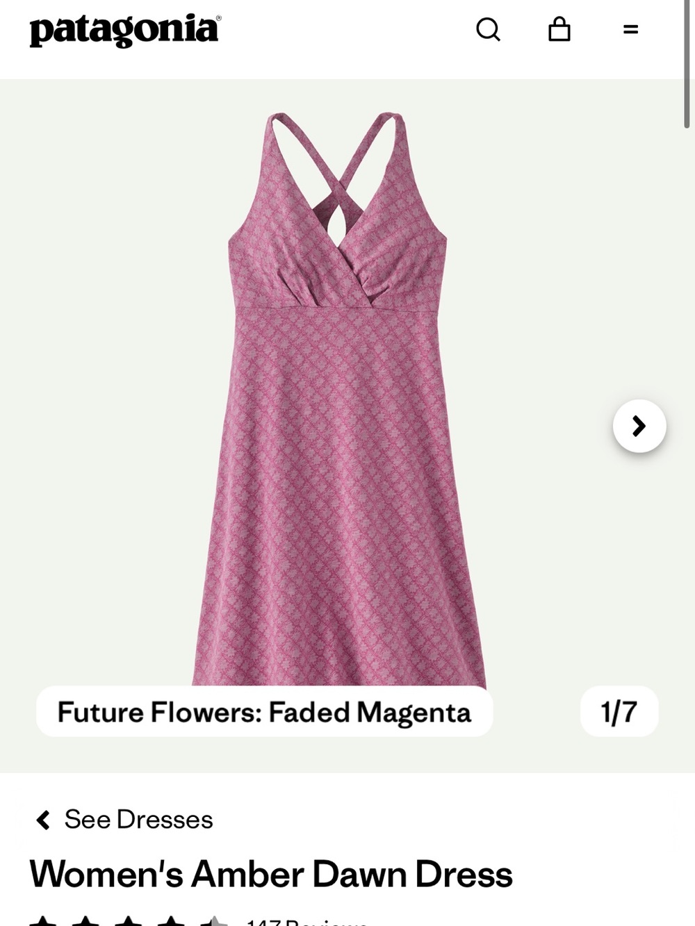 Patagonia Amber Dawn Dress